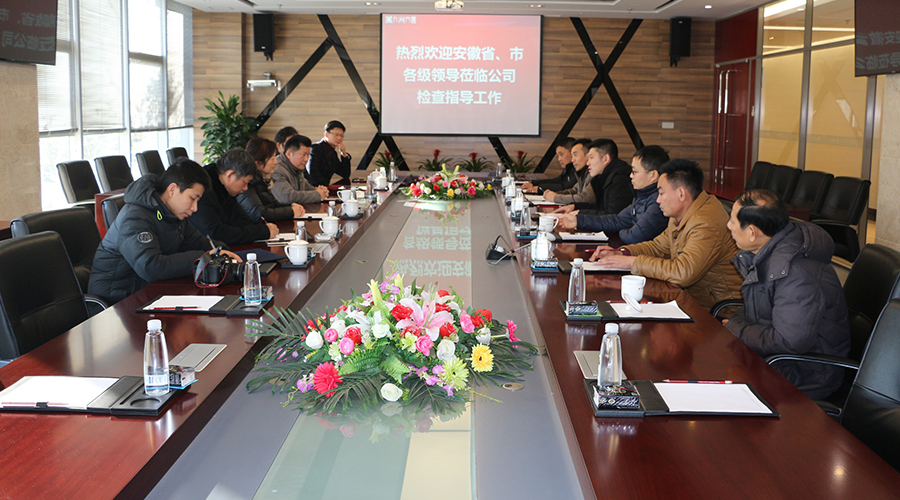 安徽省药监局吴丽华副局长一行莅临安徽尊龙凯时ag旗舰厅制药有限公司检查指导工作